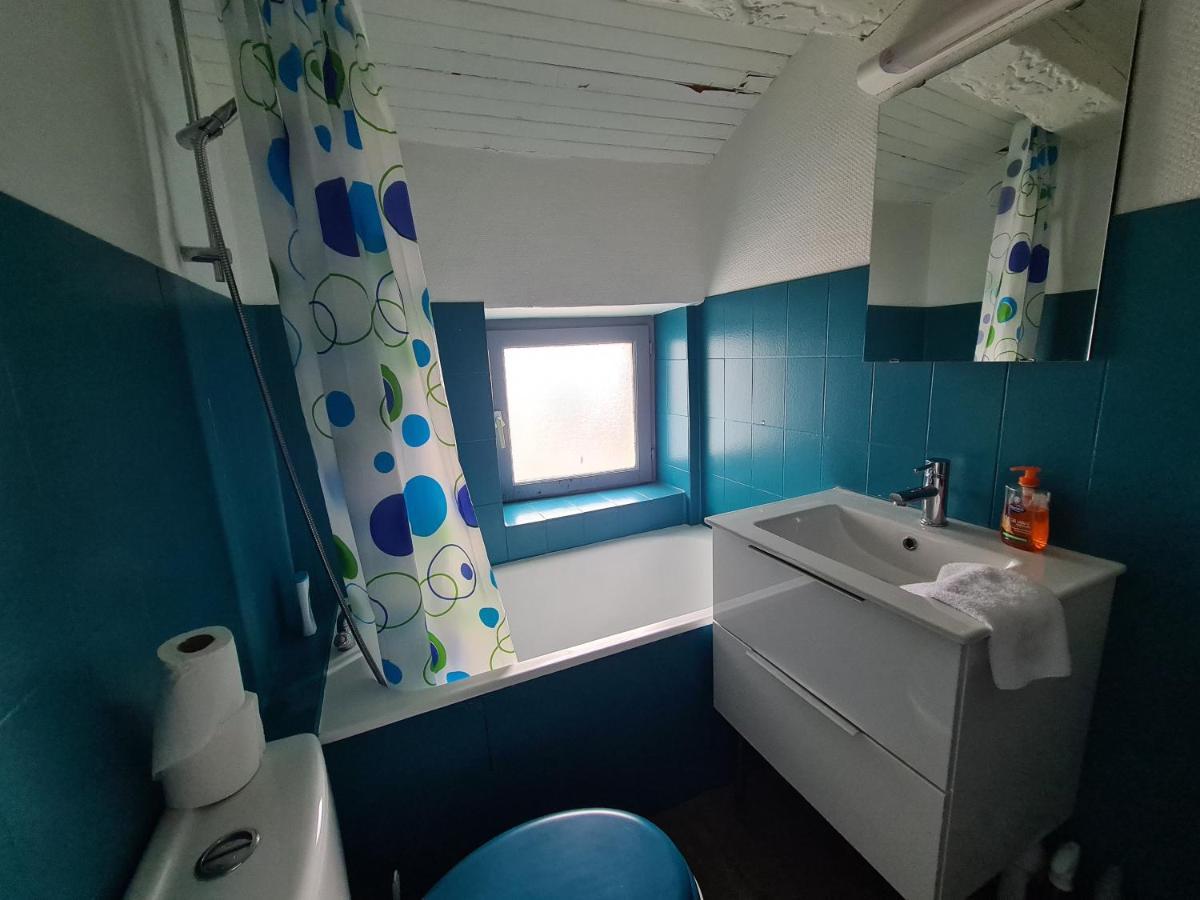 Les Cosy De Nancy - Le Duplex Aux Flammants Roses - 4Etoilesアパートメント エクステリア 写真