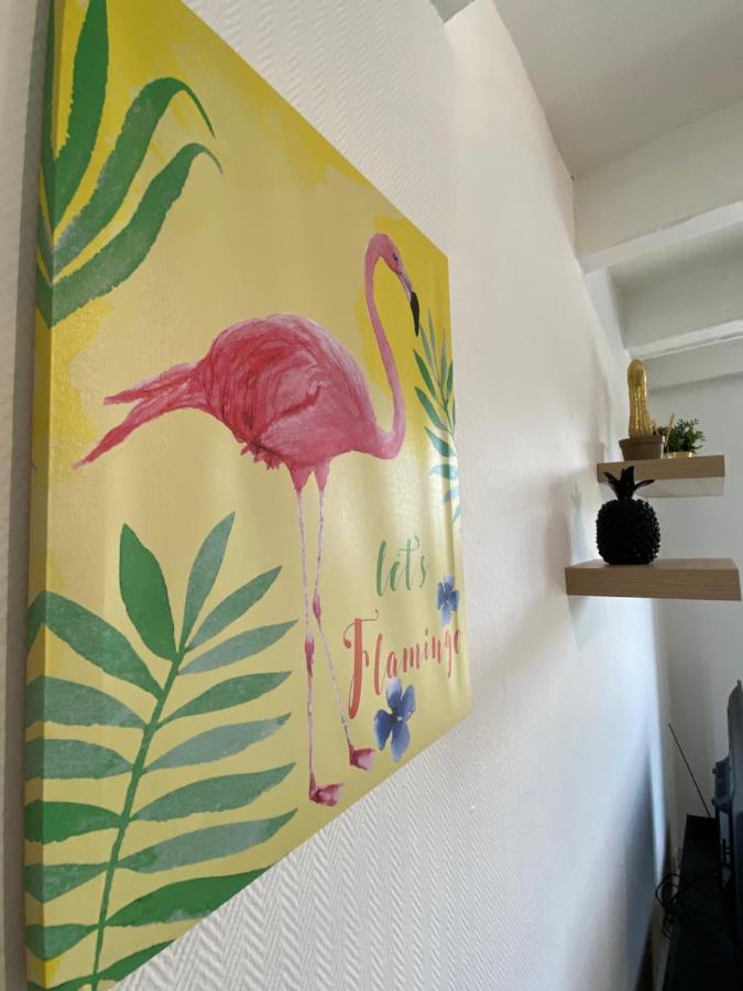 Les Cosy De Nancy - Le Duplex Aux Flammants Roses - 4Etoilesアパートメント エクステリア 写真