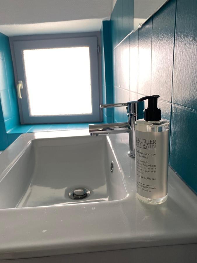 Les Cosy De Nancy - Le Duplex Aux Flammants Roses - 4Etoilesアパートメント エクステリア 写真